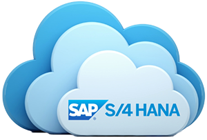 S/4HANA Cloud